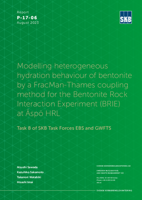 Modelling heterogeneous hydration behaviour of bentonite by a FracMan-Thames coupling method for the Bentonite Rock Interaction Experiment (BRIE) at Äspö HRL. Task 8 of SKB Task Forces EBS and GWFTS