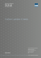 Carbon uptake in lakes